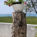 By The Sea Povljana, Pag - 6502 * 波弗加纳